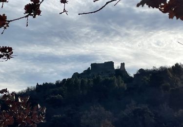 Randonnée Marche Vernègues - PF-Vernègues - Camp Caïn - Campanes - Le Grand Puech - Photo