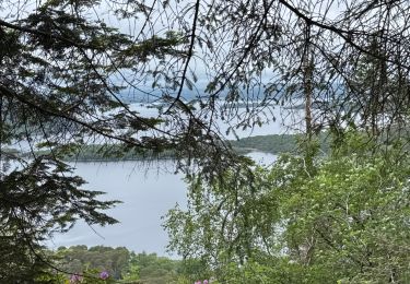 Trail Walking Killarney Municipal District - Muckross House and the Torc water falls - Photo