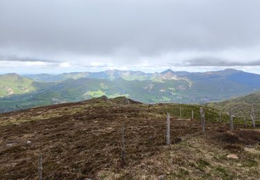 Tocht Stappen Albepierre-Bredons - col du Prat-de-Bouc/ Plomb du Cantal - Photo