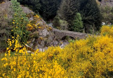 Excursión Senderismo Dornas - la Ronde des hameaux  - Photo