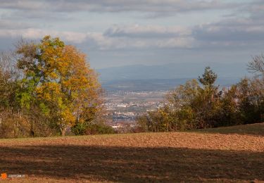 Randonnée Marche Durtol - Durtol_Cote_Pegnu - Photo