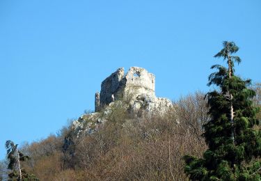 Trail On foot  - Sv. Martin - Okić - Photo