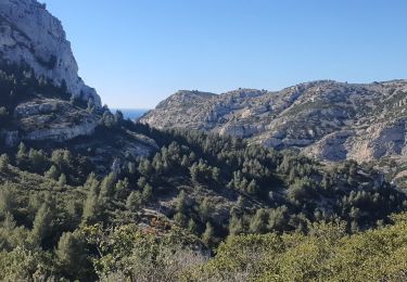 Excursión Senderismo Marsella - 2023-04-16 Calanques de Sormiou et de Sugiton - Photo