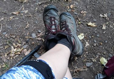 Percorso Marcia Gesves - Sentiers d'Art boucle bleue 12km - Photo