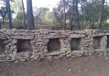 Trail Walking Cornillon-Confoux - Cornillon Confoux : Bories et mur des abeilles - Photo