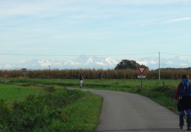 Trail Walking Aire-sur-l'Adour - CC_Velay_FB_25_Aire-Adour_Arzacq-Arraziguet_20081110 - Photo