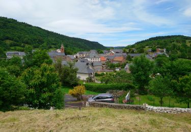 Randonnée Marche Albepierre-Bredons - Cantal - Albepierre - les Cascades - 9.6km 330m 3h25 - 2019 06 23 - Photo