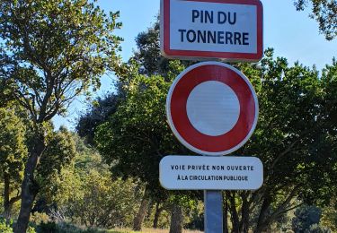 Tocht Stappen Le Lavandou - pramousquier les balcons - Photo