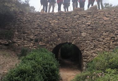 Randonnée Marche Le Castellet - barre de castillon - Photo