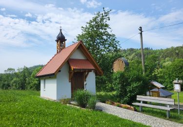 Tocht Stappen Blumberg - Cascade Schleifenbach et gorges de Wutach - Photo