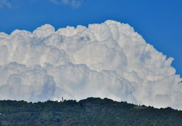 Percorso A piedi Brescia - Chiesetta Monte Maddalena da San Fiorano per il Sentér Bandìt - Photo