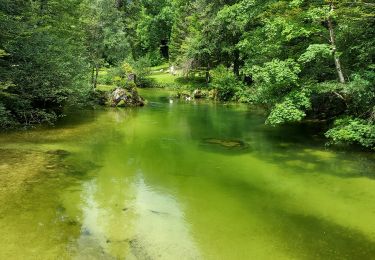 Tocht Stappen Bohinj - 2023-07-27 12:50:57 - Photo