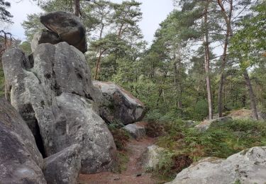 Randonnée Marche Fontainebleau - Rochers d'Avon - Photo