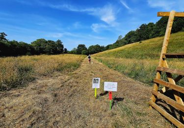 Trail Walking Philippeville - De Neuville à Sautour par le village de Samart - Photo