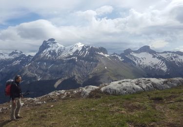 Tour Wandern Tréminis - Treminis :  Montagne de Paille, col de la Croix. - Photo