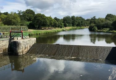 Excursión Senderismo Blain - 13.08.2019 - Autour de ST OMER DE BLAIN - Photo