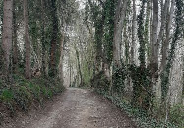 Tocht Stappen Sprimont - dolrmbreux . hayen . hautgne . dolembreux  - Photo