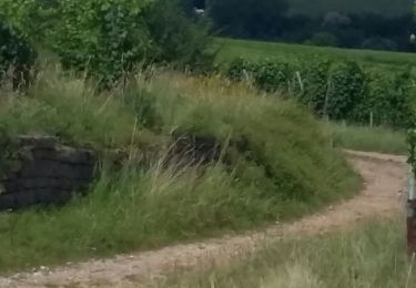 Tour Wandern Bergholzzell - bergholtzzell  croix de mission boucle - Photo