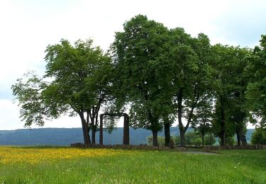 Excursión A pie Oberzent - Rundwanderweg Beerfelden 1 - Photo