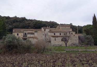Trail Walking Sauve - Chateau de Freissac / le Crespou - Photo