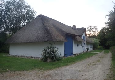 Excursión A pie Leck - Historischer Westlicher Ochsenweg und Langenberger Forst - Photo