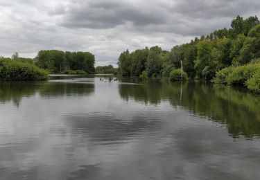Trail Walking Fretin - les marais de la haute Marque - Photo