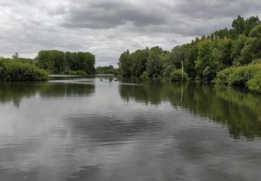 Percorso Marcia Fretin - les marais de la haute Marque - Photo