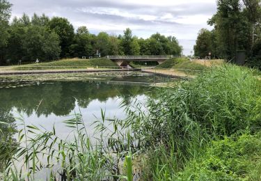 Tocht Stappen Méry-sur-Seine - Boucle Mery sur Seine - Droupt-Saint-Basle  - Photo