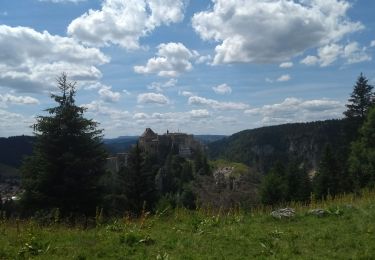 Excursión Senderismo Les Alliés - GTJ Etape 9 : les Alliés - la Cluse et Mijoux - Photo