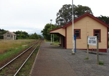 Tocht Te voet Greytown Community - Greytown Woodside Shared Trail - Photo