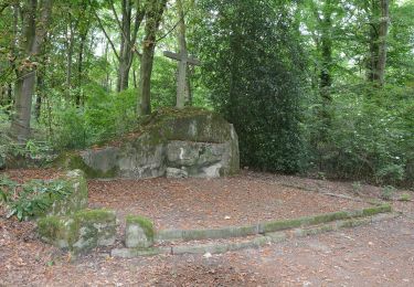 Tocht Te voet Buggenhout - Boskapel en omgeving - Photo