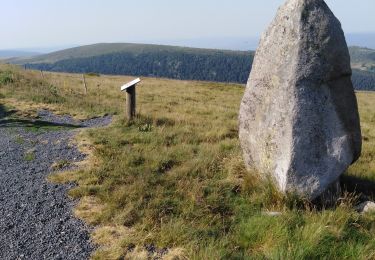 Tour Mountainbike La Chambonie - col de La Loge au col de beal pierre haute - Photo