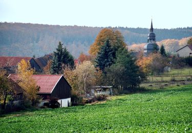 Percorso A piedi Südharz - Wanderweg von Dietersdorf in's Haseltal - Photo