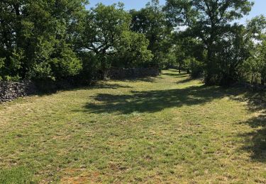 Randonnée V.T.T. Cœur de Causse - Labastide-Murat - Dolmen de Combescure - Photo