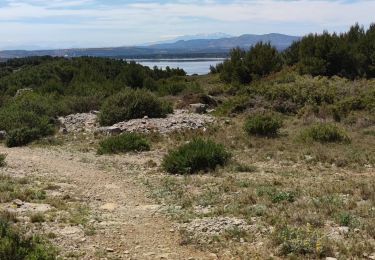 Tocht Mountainbike Gruissan - Gruissan - St Martin - Photo