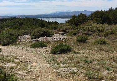 Tour Mountainbike Gruissan - Gruissan - St Martin - Photo