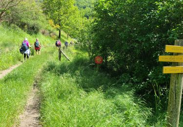 Trail Walking Bédouès-Cocurès - Stevenson Bédouès - Cassagnas - Photo