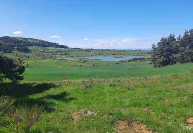 Tour Wandern Le Monastier-sur-Gazeille - Monastir bouchet - Photo