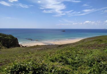 Trail Walking Crozon - Circuit du cap de la Chèvre 03-07-2019 - Photo