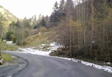 Tour Zu Fuß Laruns - Voie d'OssauB - Photo