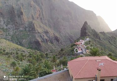 Tour Wandern Buenavista del Norte - masca gorges - Photo