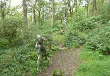 Percorso A piedi South Lakeland - Bogle Crag Trail (long) - Photo