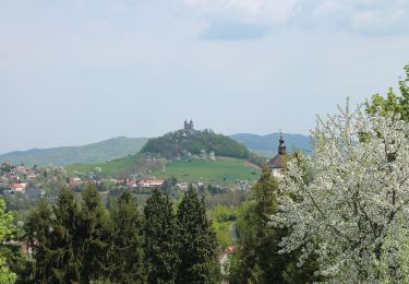 Excursión A pie okres Banská Štiavnica - Náučný chodník Milana Kapustu po žile Terézia - Photo