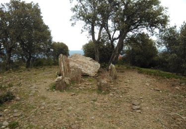 Tocht Stappen Roquebrune-sur-Argens - Les Issambres : Draille des roches - Dolmen - Photo