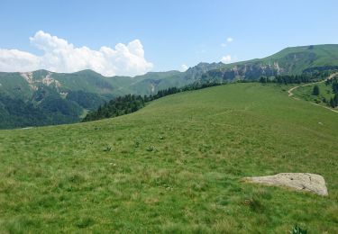 Randonnée Marche Mont-Dore - le capucin aller et retour 2019-06-30 - Photo