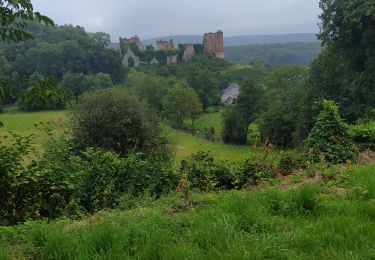 Tour Wandern Doische - Doisshe 17/08/23 godasses defraire - Photo