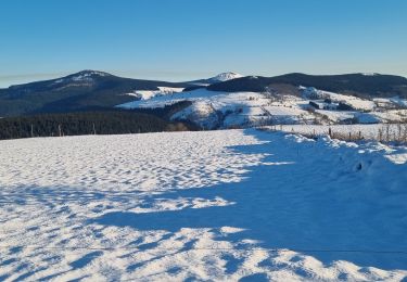 Tour Schneeschuhwandern Les Estables - les estables sortie 5 - Photo