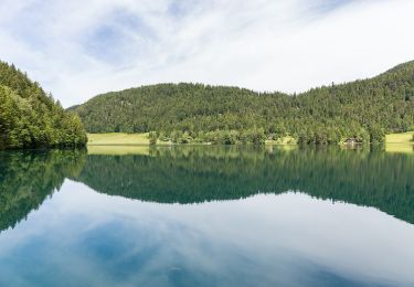 Excursión A pie Gemeinde Scheffau am Wilden Kaiser - Hintersteinersee Runde - Photo