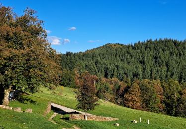 Tocht Stappen Malons-et-Elze - Serre de Barre au départ de Malons  - Photo