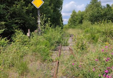 Tocht Stappen Monestier-Merlines - 230629 Eygurande - VVF-MoulinBorie - Photo